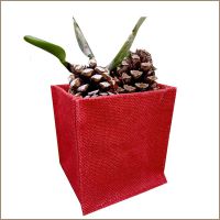 Herbs & Flower Pot Holder AHHF004