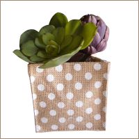 Herbs & Flower Pot Holder AHHF006